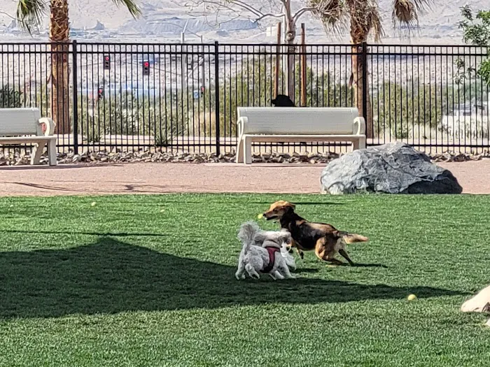 Rancho Mirage Dog Park 6