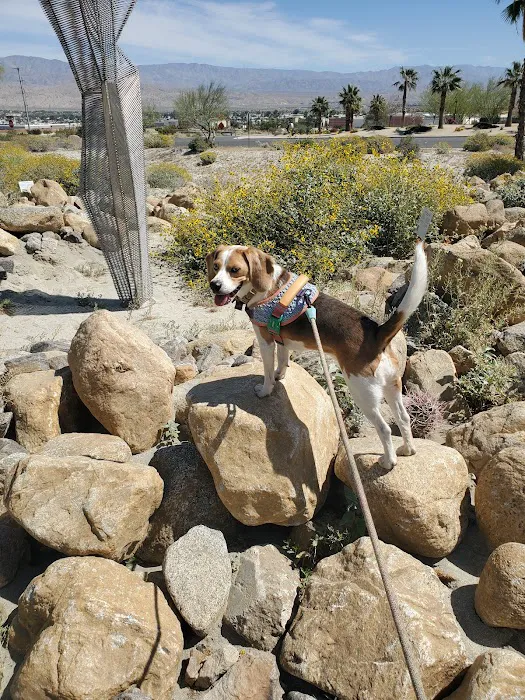 Rancho Mirage Dog Park 7