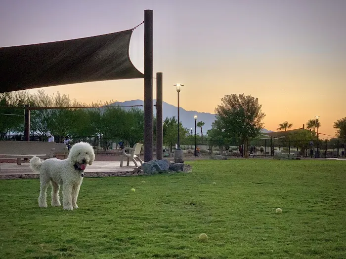 Rancho Mirage Dog Park 8