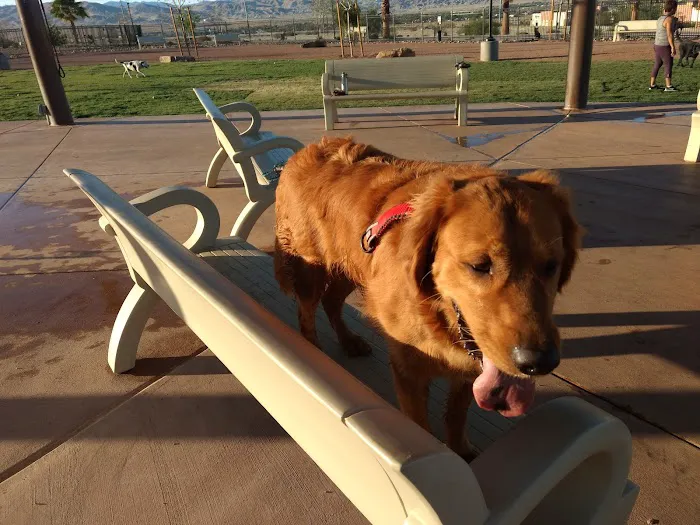 Rancho Mirage Dog Park 10