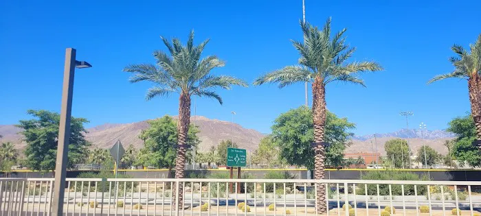 Palm Desert Dog Park 3
