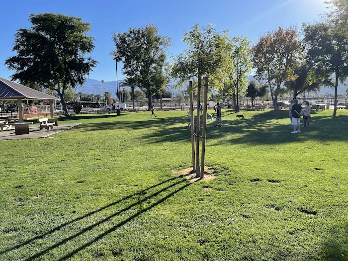 Palm Desert Dog Park 8