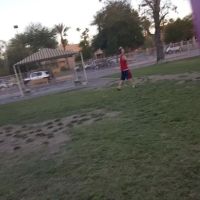 Civic Center Dog Park ico