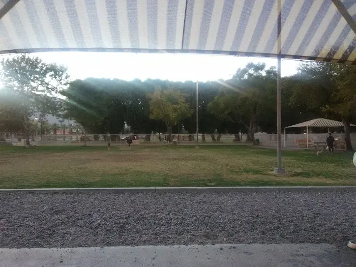 Civic Center Dog Park 3