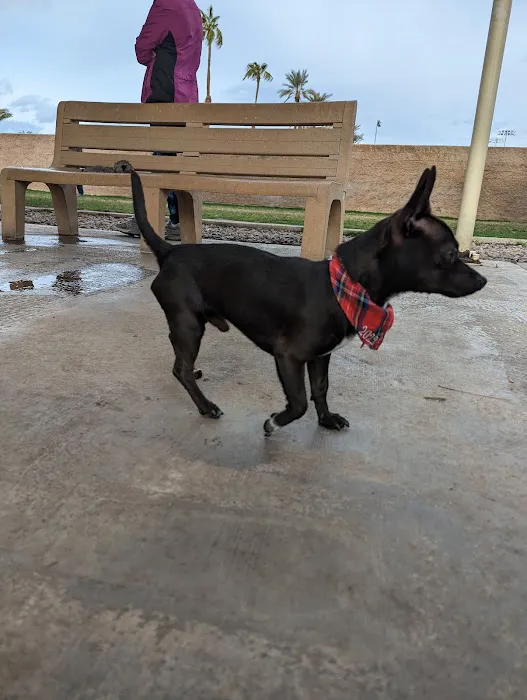 Civic Center Dog Park 8