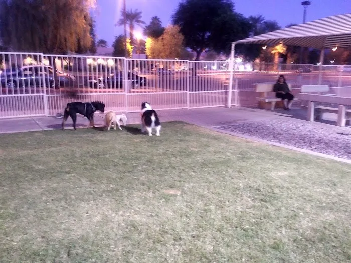 Civic Center Dog Park 6