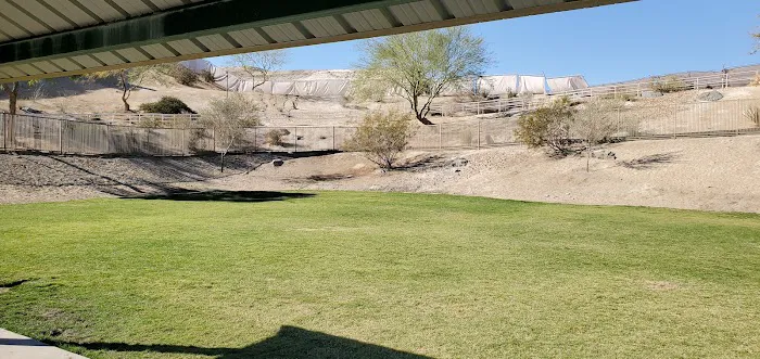 University Dog Park 4