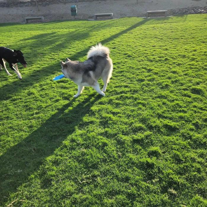University Dog Park 3