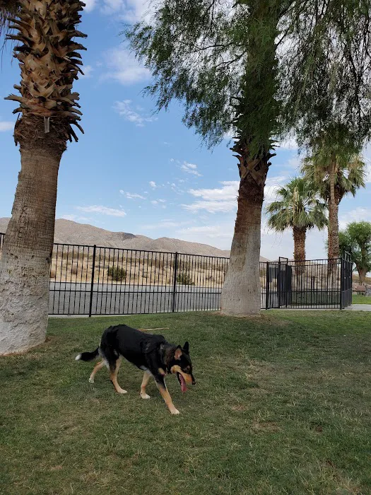 DHS Rotary Dog Park 3