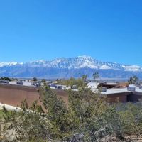 DHS Rotary Dog Park ico