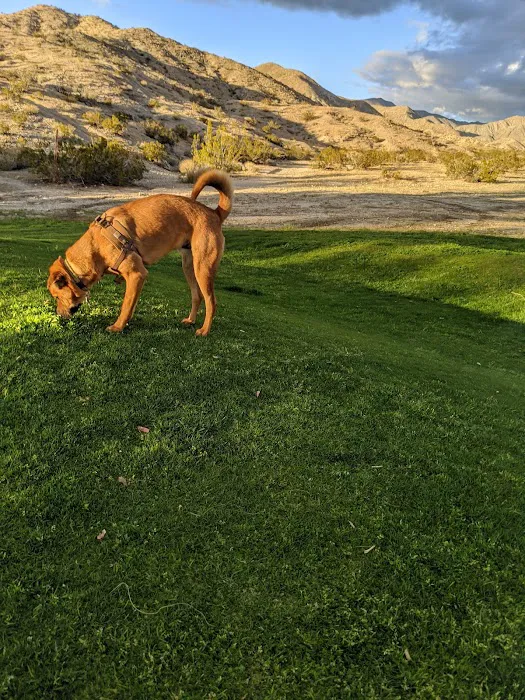 DHS Rotary Dog Park 10