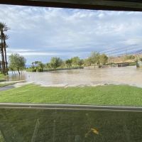 Greenbelt Dog Park (for Sun City resident/guest use only) ico