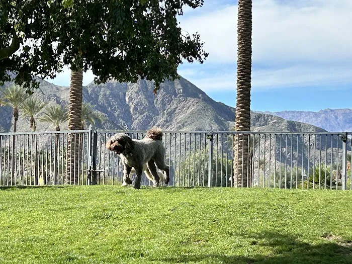 Pioneer Dog Park 10