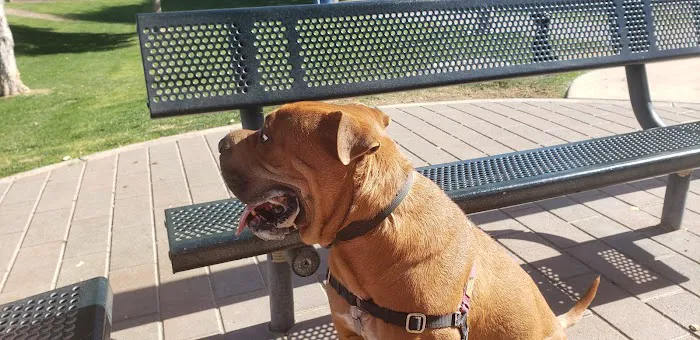 Pioneer Dog Park 5