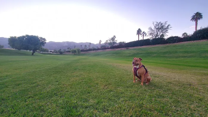 Seasons Dog Park 2