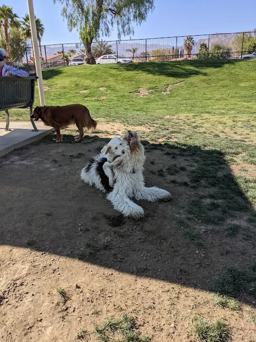 Seasons Dog Park 7