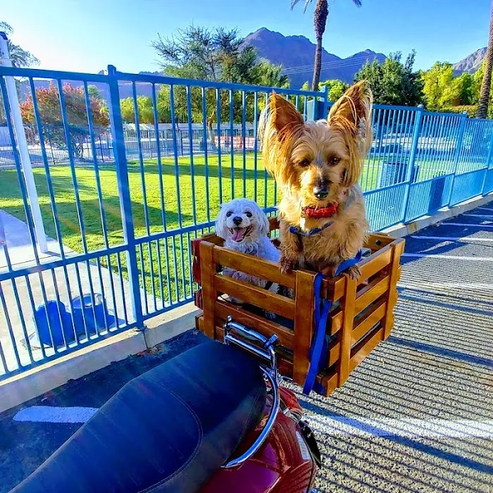 Seasons Dog Park 8