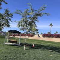 Seasons Dog Park ico