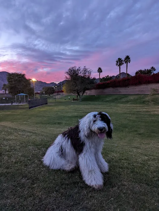 Seasons Dog Park 5