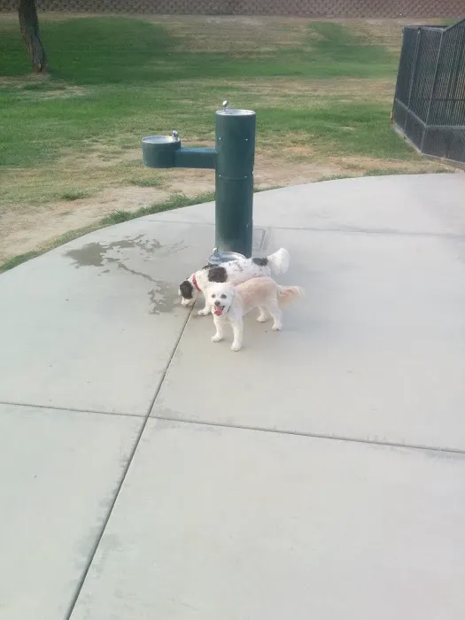 Seasons Dog Park 4