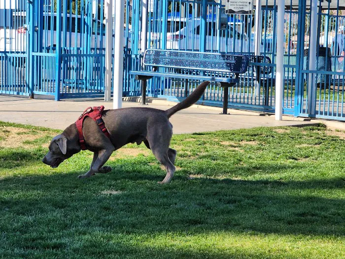 Fritz Burns Dog Park 9