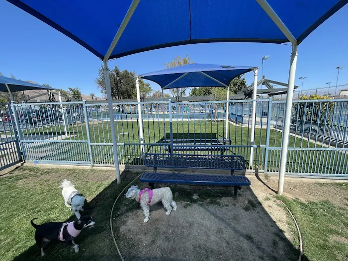 Fritz Burns Dog Park 8