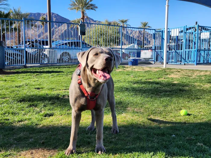 Fritz Burns Dog Park 5