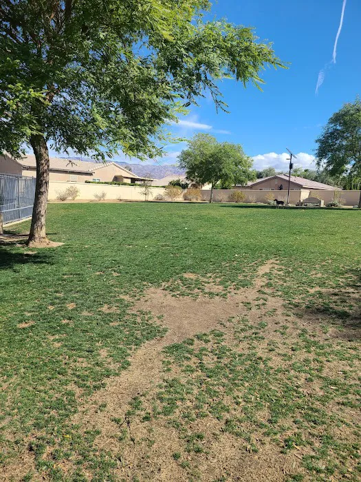 Station 87 Dog Park 8