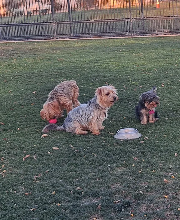 Station 87 Dog Park 9