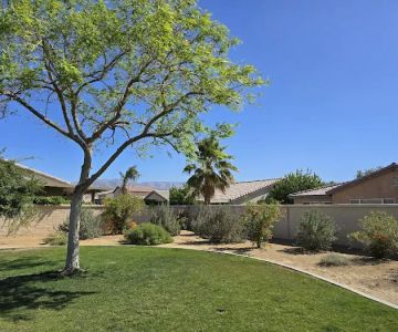 Station 87 Dog Park