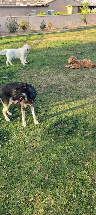 Station 87 Dog Park 4