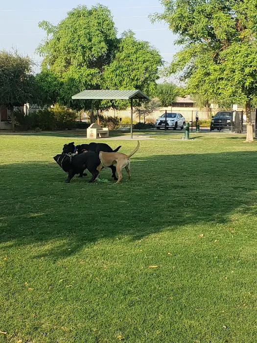 Station 87 Dog Park 2