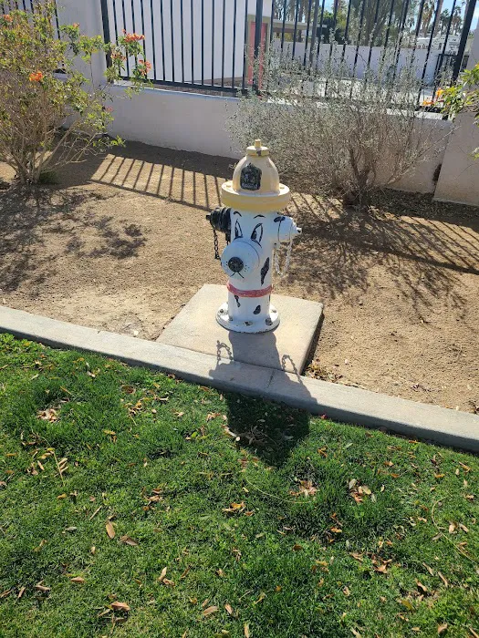 Station 87 Dog Park 7
