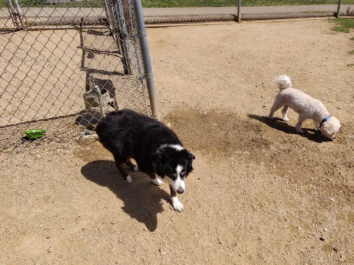 San Elijo Hills Dog Park 10