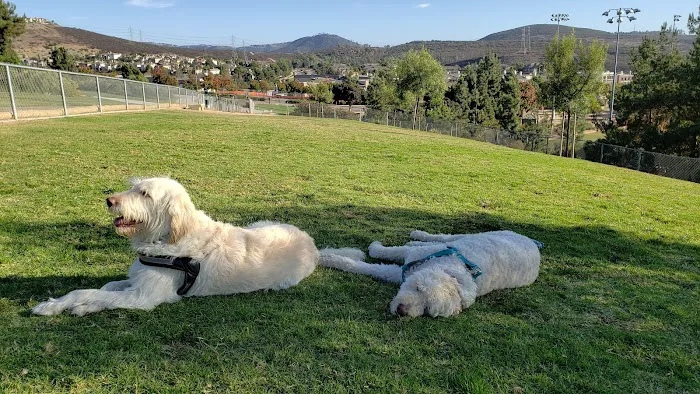 San Elijo Hills Dog Park 7