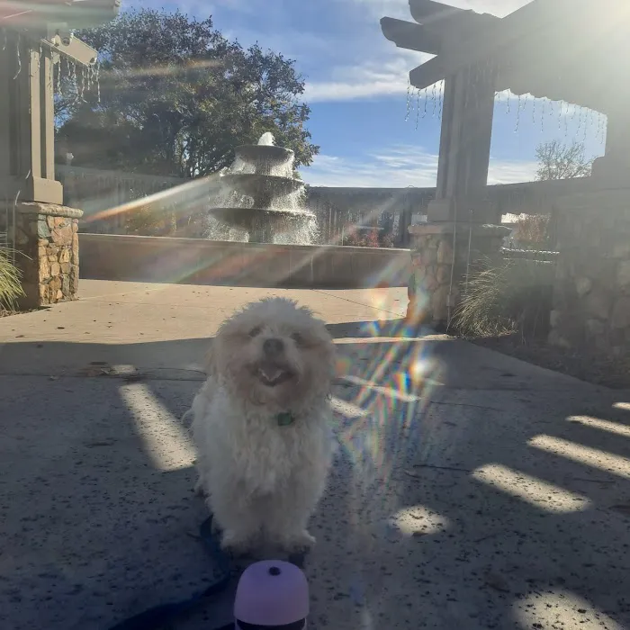 San Elijo Hills Dog Park 9