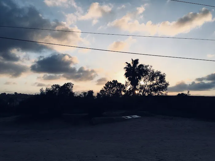 Power Lines Dog Park 2