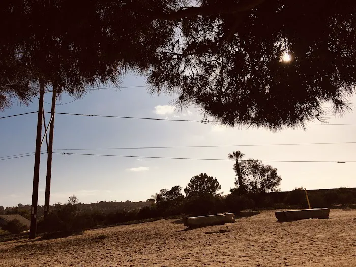 Power Lines Dog Park 6