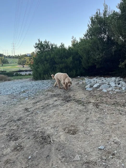 Power Lines Dog Park 9