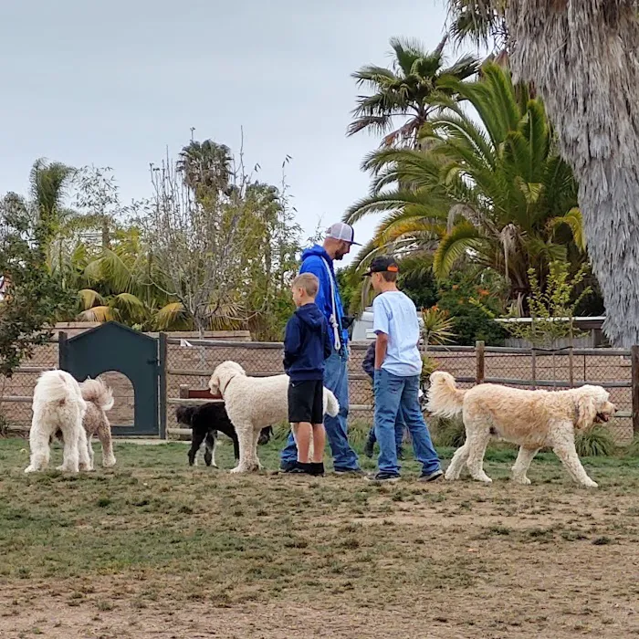 Encinitas Dog Park 9