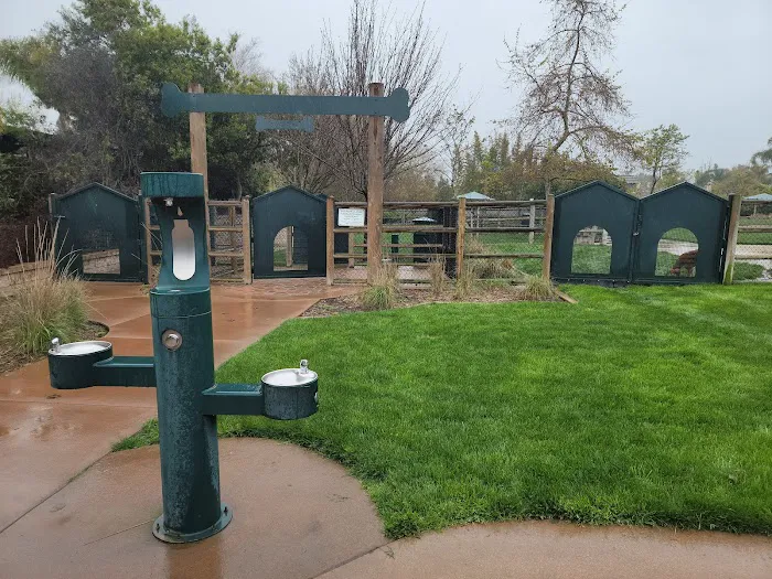 Encinitas Dog Park 5