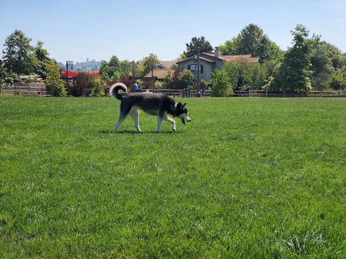 Encinitas Dog Park 1