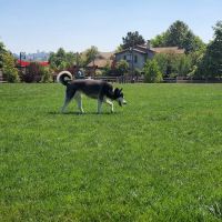 Encinitas Dog Park ico