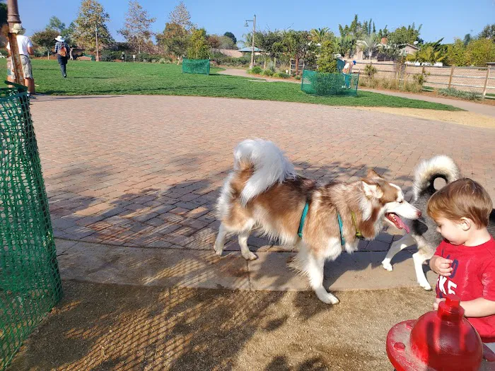 Encinitas Dog Park 3
