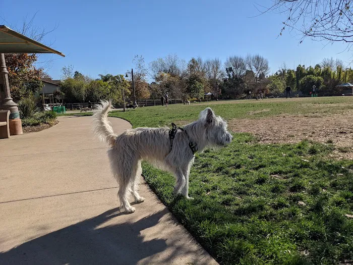 Encinitas Dog Park 6