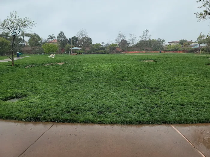 Encinitas Dog Park 4