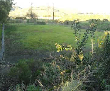 Dog Park