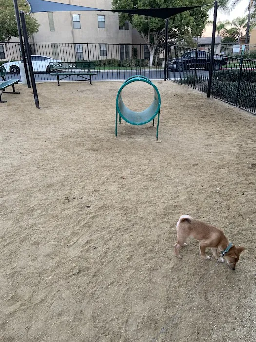 Dog Park 7