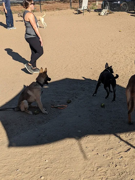 Dog Park 5