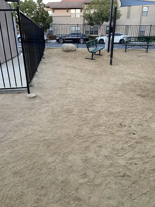 Dog Park 8